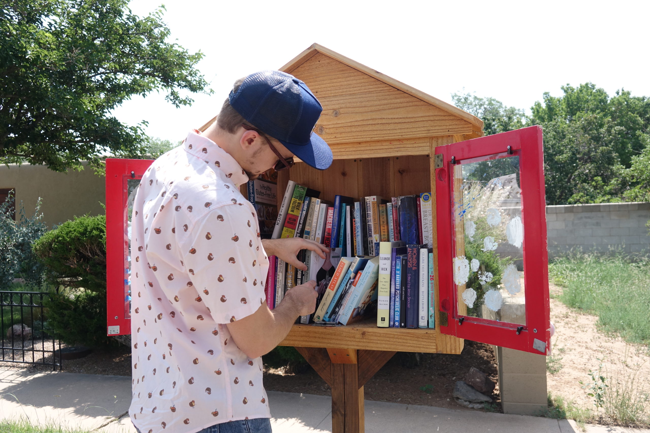 free-little-library1-mjw